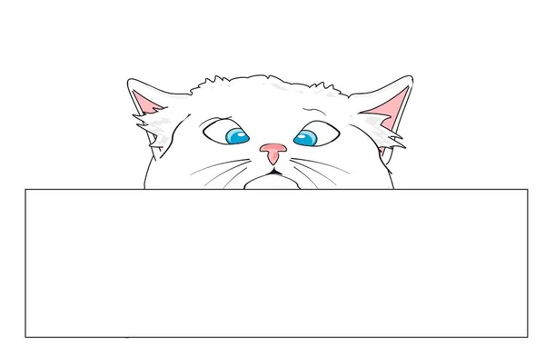 Морда Белого Котенка Голубыми Глазами — стоковое фото