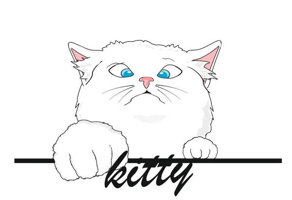 Kitty icon hi-res stock photography and images - Alamy