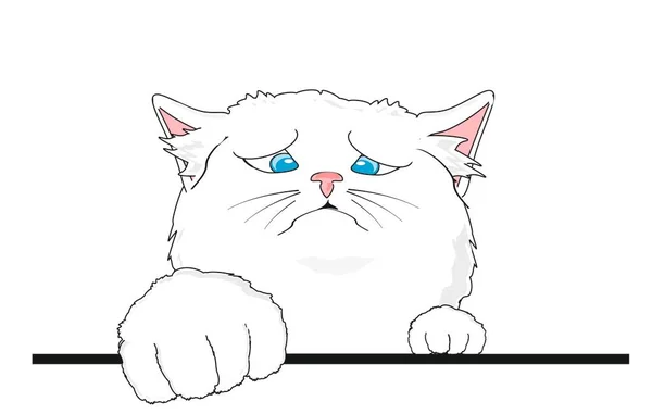 Beyaz Arka Planda Üzgün Beyaz Kedi Yavrusu — Stok fotoğraf