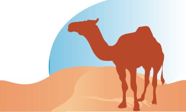 Mavi gökyüzü ve kumlu deve