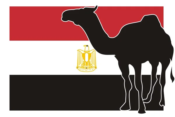 Mısır Bayrağı Sert Siyah Deve Gölgesi — Stok fotoğraf