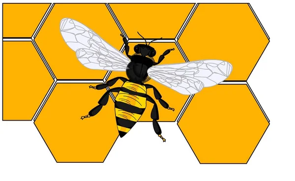 Pszczoły Wiele Żółtych Ugryzień — Zdjęcie stockowe