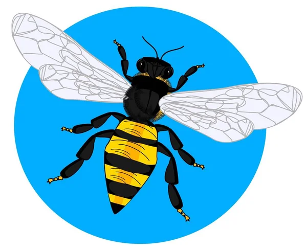 Gelbe Biene Blauen Runden Schild — Stockfoto