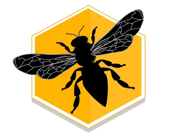 Stały Czarny Cień Pszczoły Ugryzieniu — Zdjęcie stockowe