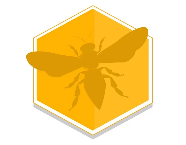 Stały Żółty Shado Wof Pszczoła Ugryzienie — Zdjęcie stockowe