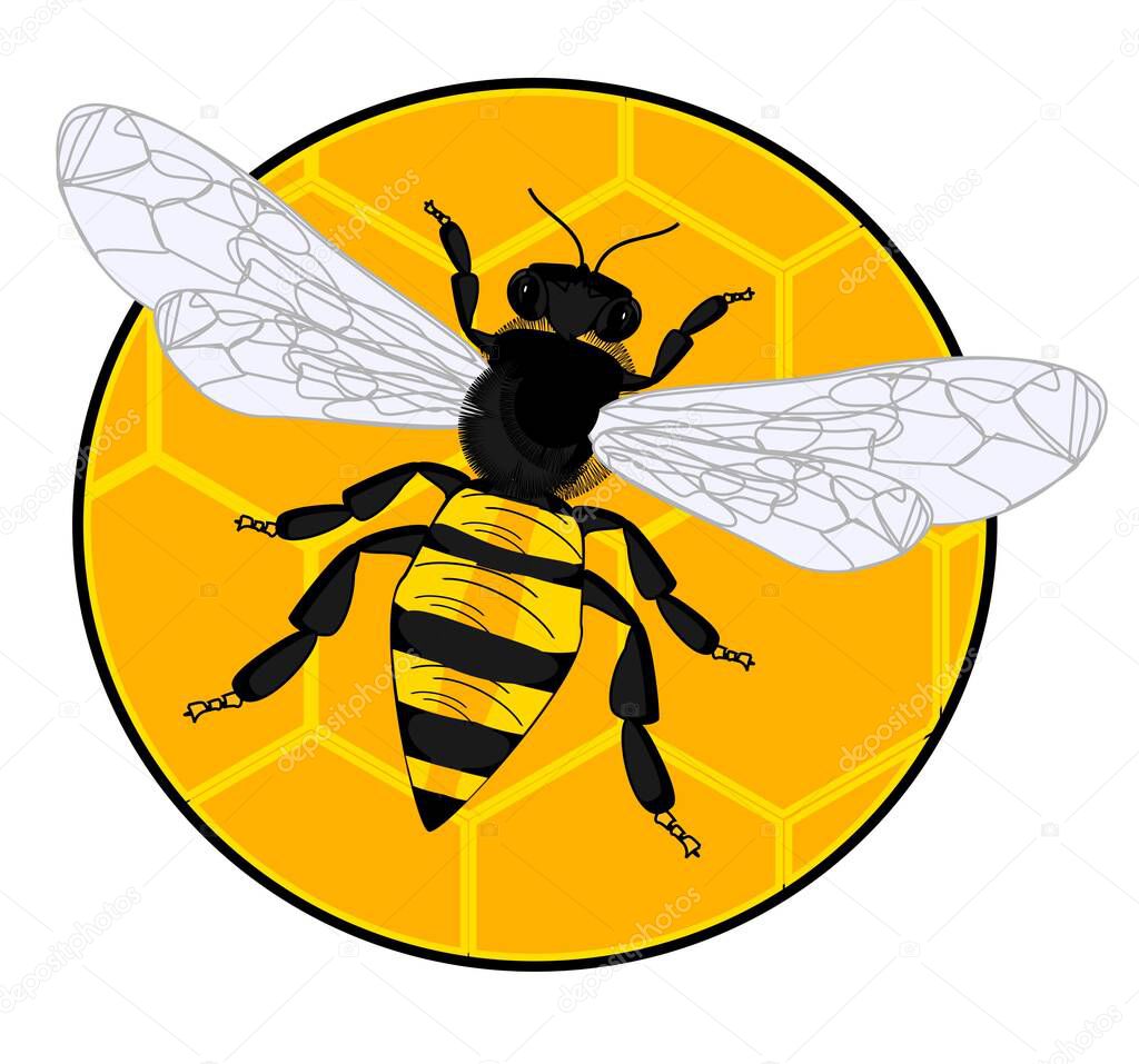 bee sit on round bite