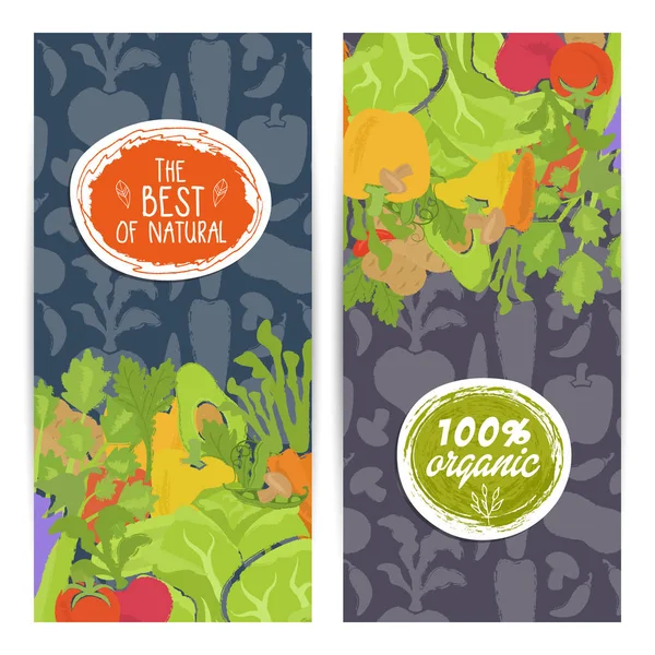Mejor conjunto de folletos verticales de alimentos orgánicos — Vector de stock