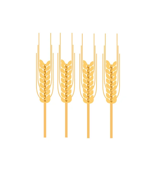 Oreille mûre de l'icône vectorielle blé — Image vectorielle