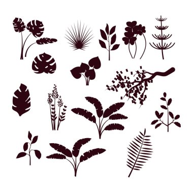 Orman bush ve çim siluet seti