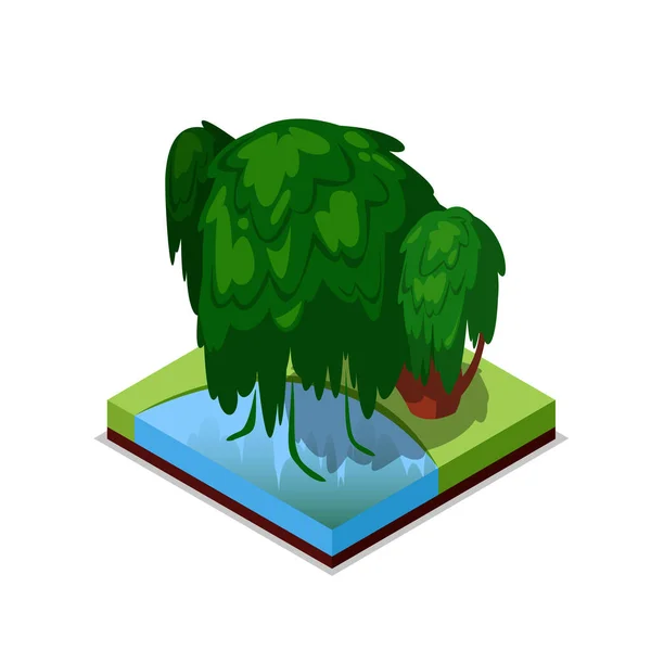 緑の柳の木の等角3Dアイコン 公園の装飾木と緑の芝生のベクトルイラスト 夏の公園景観デザインのための自然地図要素 — ストックベクタ