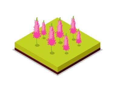 Pembe çiçekler izometrik üç boyutlu ikon. Kamu parkı dekoratif bitki ve yeşil çim vektör çizimi. Yaz parkı peyzaj tasarımı için doğa haritası ögesi.