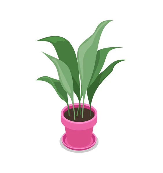Belle Fleur Pot Isométrique Icône Plantes Intérieur Plante Intérieur Décoration — Image vectorielle