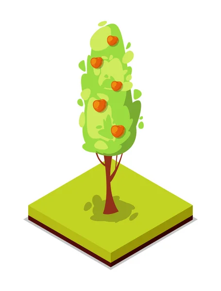 Grön Äppelträd Isometrisk Ikon Allmän Park Dekorativ Växt Och Grönt — Stock vektor