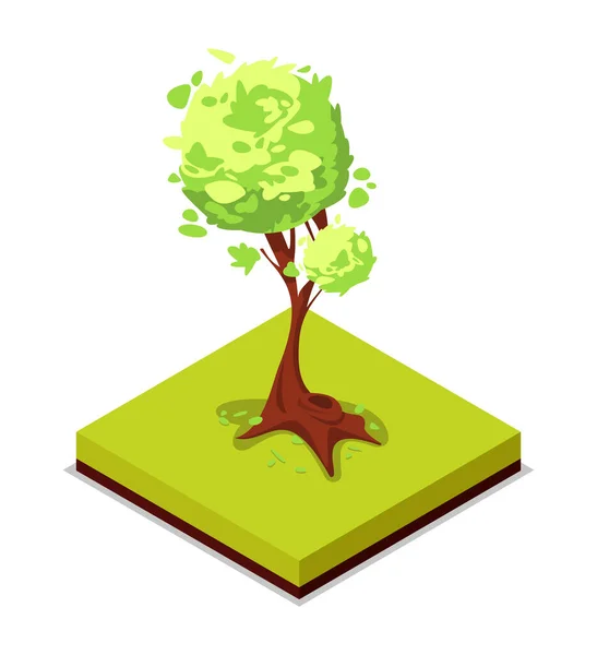 Grön Aska Träd Isometrisk Ikon Allmän Park Dekorativ Växt Och — Stock vektor