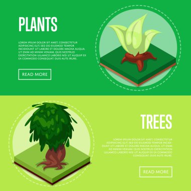 Park tasarımı için bitki ve ağaçlar izometrik posterler. Kamu parkı manzarası, açık hava yaz doğal eğlence vektör illüstrasyonu. Yeşil çimenli dekoratif bitkiler 3 boyutlu elementler.