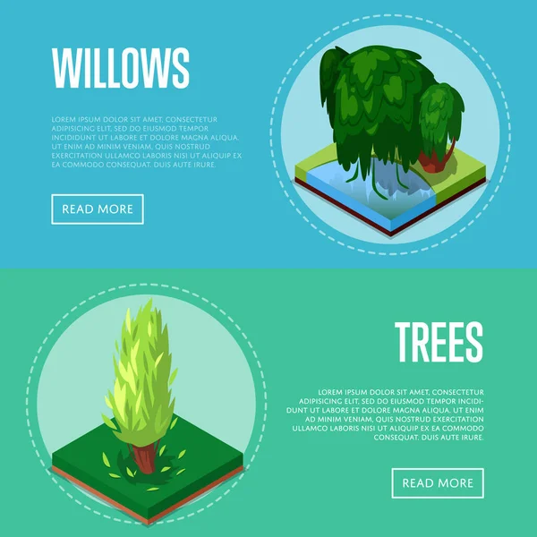 Park Tasarımı Izometrik Posterler Için Dekoratif Bitkiler Kavak Söğüt Ağacı — Stok Vektör