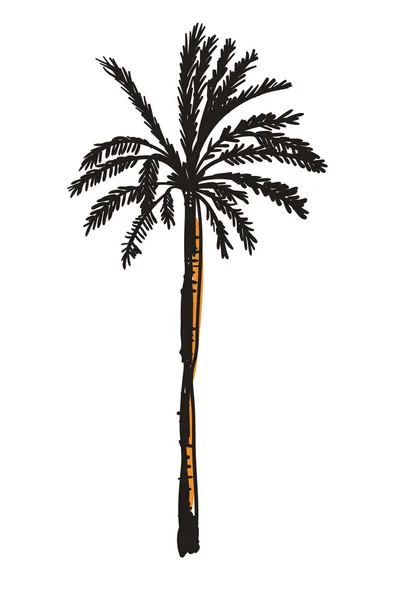 Handgezeichnetes Symbol Aus Palmen Auf Weißem Hintergrund Als Vektorillustration Element — Stockvektor