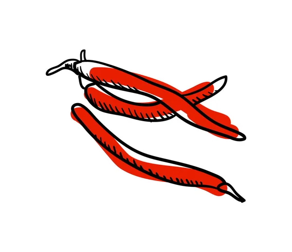 Red Hot Chili Pepper Hand Gezeichnetes Symbol Isoliert Auf Weißem — Stockvektor