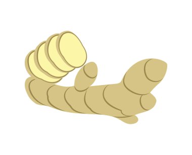 Ginger kök izole vektör simgesi