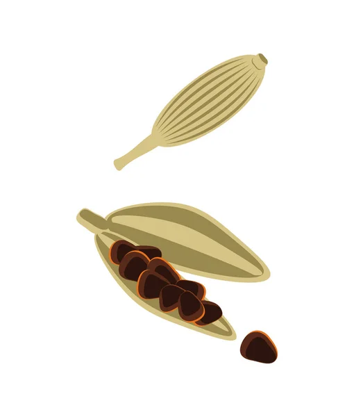 Icône vectorielle isolée des gousses de cardamome — Image vectorielle