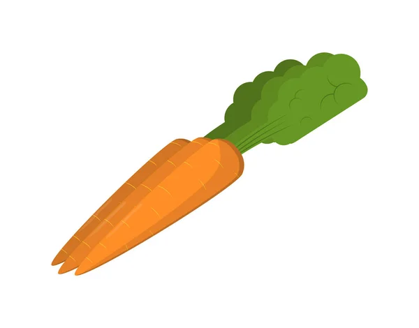Ícone vetorial isolado de cenoura fresca — Vetor de Stock