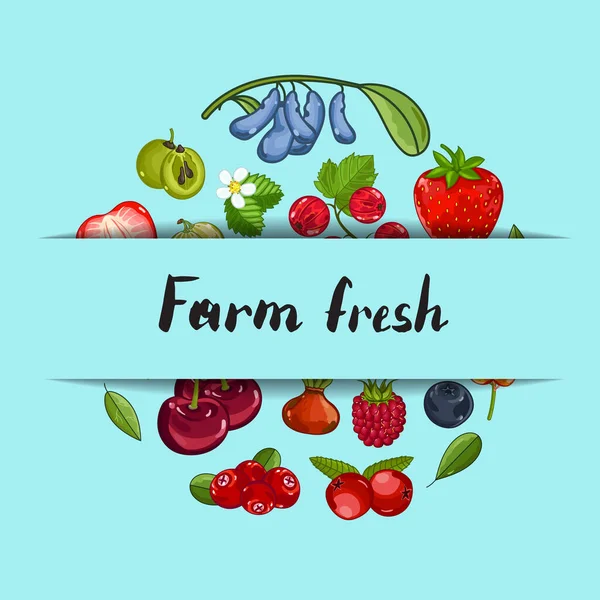 Granja fresco berry vector banner — Vector de stock