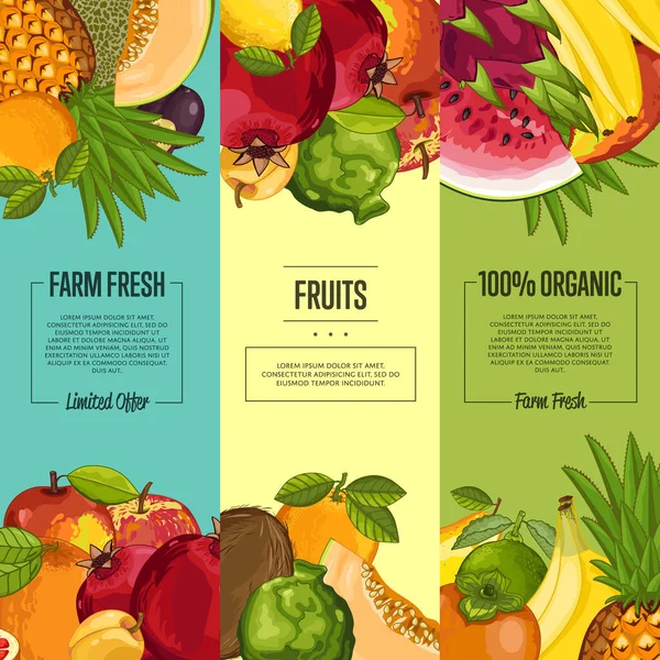 农场新鲜水果垂直传单套 — 图库矢量图片