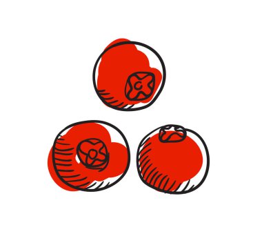 Olgun kırmızı yaban mersinli el çizimi simgesi beyaz arka plan vektör illüstrasyonunda izole edilmiş. Kuzey etnik kültür element vektör illüstrasyonu.