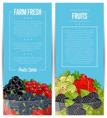 Taze çiftlik çileği ilanları vektör çizimi. Sulu organik ahududu, böğürtlen, çilek, bektaşi üzümü, cam kasede frenk üzümü. Doğal meyve posteri, sağlıklı tatlı diyet, vejetaryen beslenme tanıtımı.