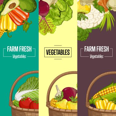 Organik sebze yetiştirme broşürleri vektör illüstrasyonunu belirledi. Doğal yetişen sebze, vegan perakende, ürün mağazası. Brokolili, patatesli, mısırlı, lahanalı, domatesli sağlıklı tarım ürünleri reklamı