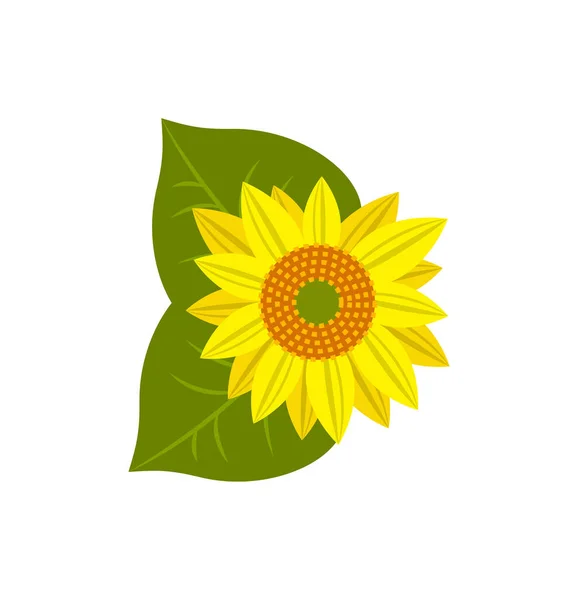 Flower of sunflower icon. Agricultural farming, natural harvest vector illustration isolated on white background.