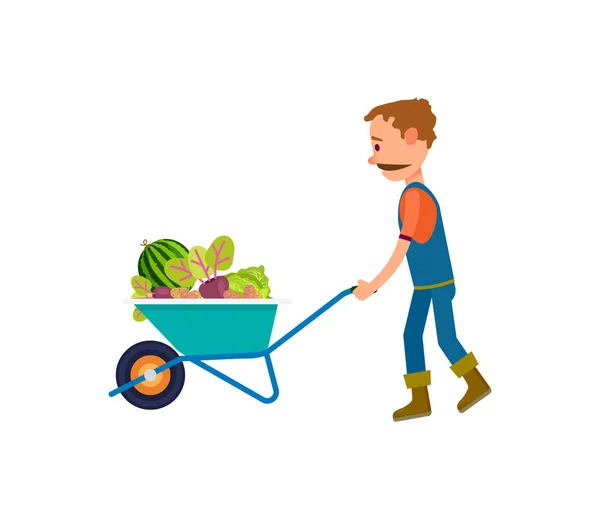 Agricultor Con Icono Carretilla Llena Verduras Ilustración Vectorial Agrícola Aislada — Archivo Imágenes Vectoriales