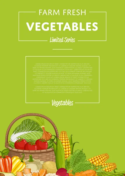 Свежая Векторная Иллюстрация Сельскохозяйственных Пищевых Баннеров Натуральные Овощи Органическое Сельское — стоковый вектор