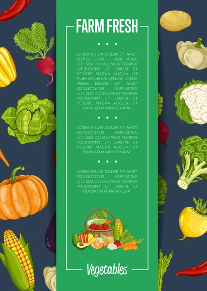Banner Vektor Illustration Für Frische Landwirtschaftliche Lebensmittel Naturgemüse Biolandbau Veganes — Stockvektor