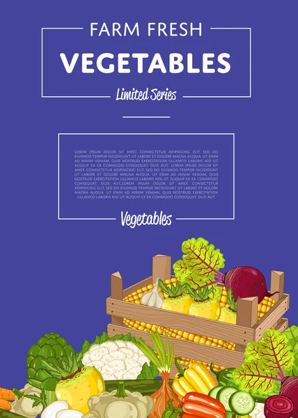 Banner Vektor Illustration Für Den Ökologischen Gemüsebau Natürlicher Anbau Gemüselieferung — Stockvektor