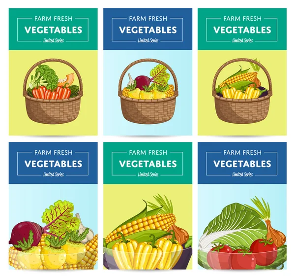 Bauernhof Frisches Gemüse Etikett Gesetzt Vektor Illustration Aufkleber Für Den — Stockvektor