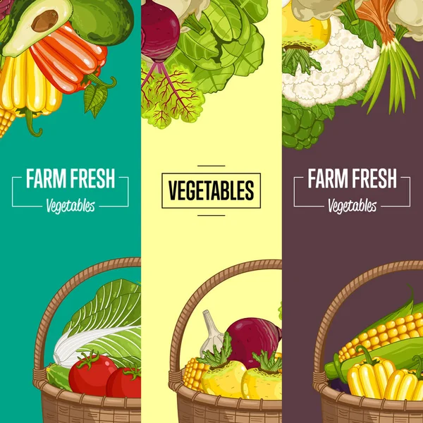 Flyer Aus Dem Ökologischen Gemüseanbau Geben Eine Vektor Illustration Natürlicher — Stockvektor