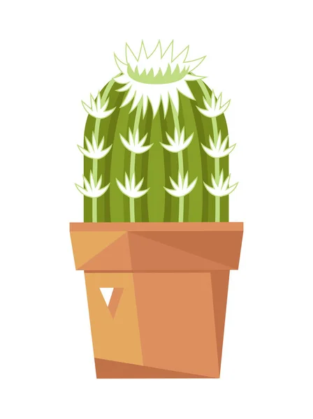 Grön Kaktus Keramik Kruka Isolerad Ikon Växter Inomhus Rum Krukväxt — Stock vektor
