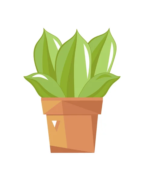 Succulent Cactus Pot Icône Isolée Plantes Intérieur Plante Intérieur Décoration — Image vectorielle