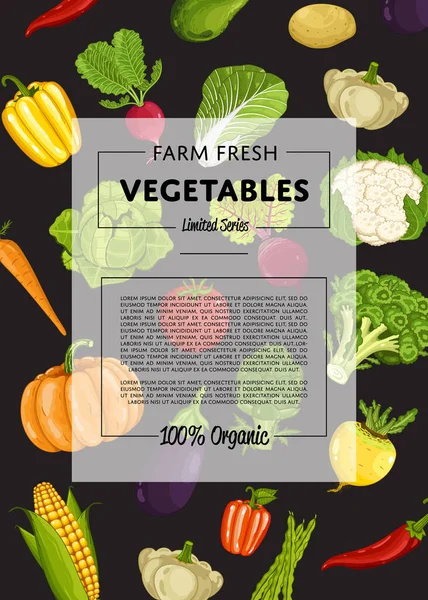 农业新鲜蔬菜横幅与自然产品 — 图库矢量图片