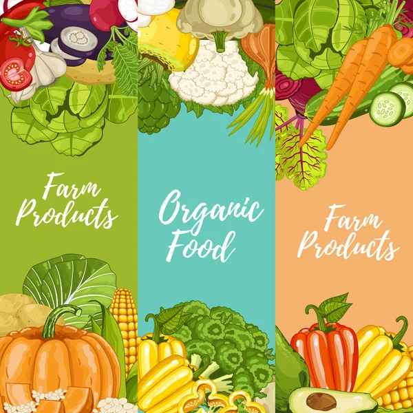 Folhetos Alimentos Agrícolas Orgânicos Definir Ilustração Vetorial Vegetais Cultivados Localmente — Vetor de Stock