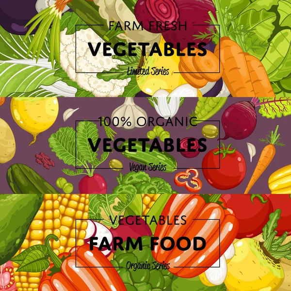 有机蔬菜种植传单集病媒图解 自然种植蔬菜 素食零售 产品商店招贴画 健康的农场食品广告 配以意大利面 卷心菜 西红柿 — 图库矢量图片