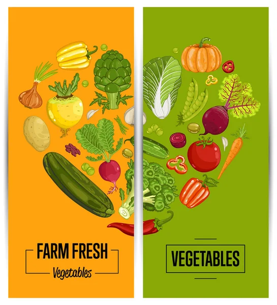 Folhetos Agricultura Vegetal Orgânica Definir Ilustração Vetorial Vegetais Cultivados Localmente —  Vetores de Stock
