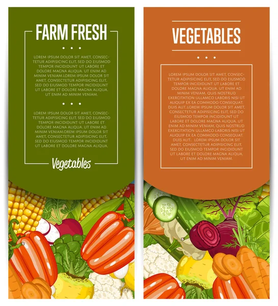 Organic Vegetable Farming Flyers Set Vector Illustration Locally Grown Vegetable — Stock Vector