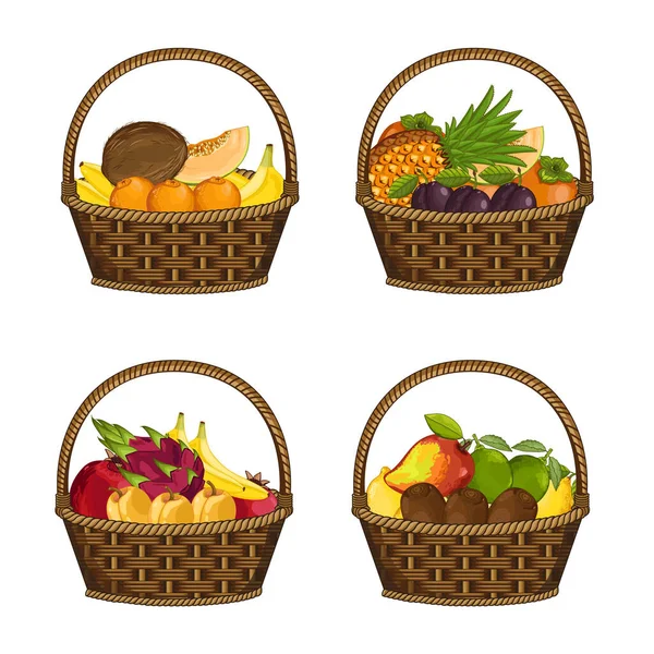 Fruta Orgánica Fresca Canasta Mimbre Conjunto Ilustración Vectorial Aislado Agricultura — Archivo Imágenes Vectoriales