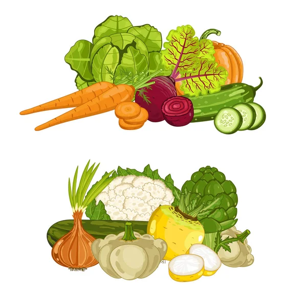 Composizione Vegetale Biologica Fresca Isolato Illustrazione Vettoriale Cibo Coltivato Localmente — Vettoriale Stock