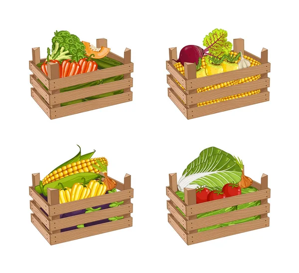 Ξύλινο Κουτί Γεμάτο Φυτικά Σύνολο Απομονωμένη Διανυσματική Απεικόνιση Φρέσκα Λαχανικά — Διανυσματικό Αρχείο