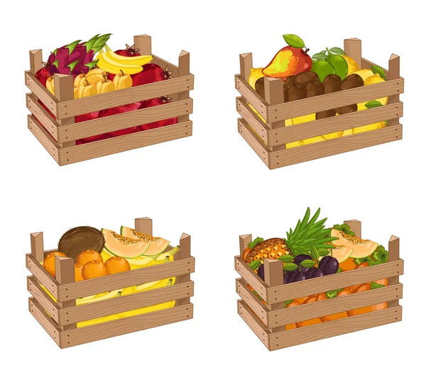 Trälåda Full Frukt Set Isolerad Vektor Illustration Färsk Frukt Ekologiskt — Stock vektor