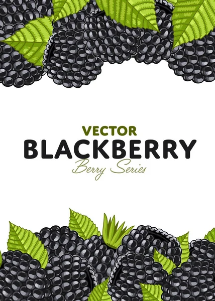 Biologische Bessen Banner Met Sappige Blackberry Vector Illustratie Natuurlijke Fruitposter — Stockvector