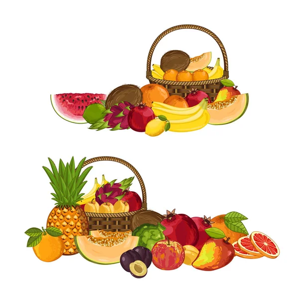新鲜有机水果成分分离载体说明 收获多汁水果 素食美味营养 有机健康饮食 — 图库矢量图片